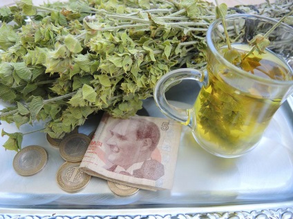 Pokol tea (ada Çayı) török ​​fű, Gazipasa