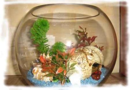 Akvárium a bankok - a tartalom akváriumi halak a bank - az állatvilágban