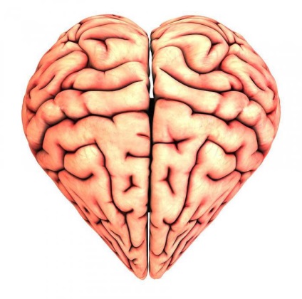 Az alkohol és a szerelem befolyásolják az agy gyakorlatilag azonos