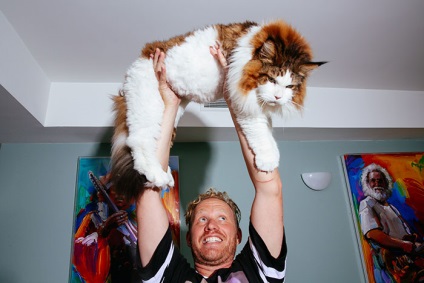 Király macska egyik legnagyobb macska a világon