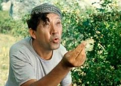 Mi a teendő, ha a kaukázusiak mondjuk csúnya dolog mögött (do) Mi a teendő, ha a kaukázusiak mondjuk csúnya dolog után