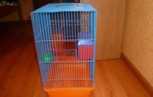 Mit kell gondoskodni a hörcsög (ellátás) Mit kell gondoskodni a hörcsög