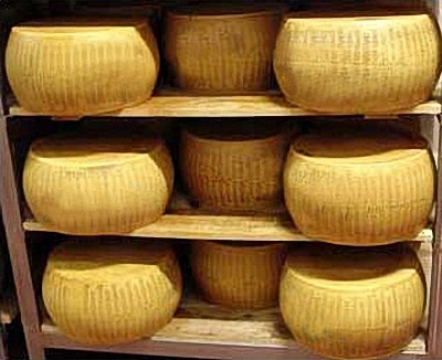 Mit kell tudni a sajt