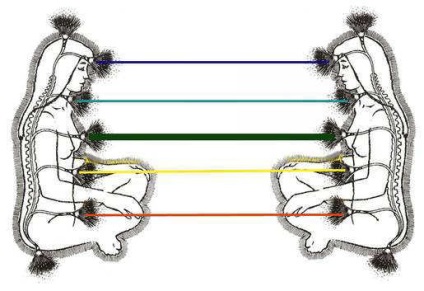 Mi az energia linkeket, bioenergotherapy