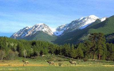 Gyermek Encyclopedia (munka és a szabadidő növény- és állatvilág, a föld és az univerzum egy érdekes történet claw.ru: gyermek enciklopédia http://children.claw.ru/ jelentést életvédelmi) Gyermek enciklopédia