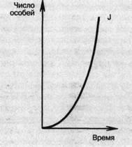 Populációdinamika - studopediya (jelentése a görbe) Populációdinamika - studopediya
