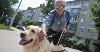 Képzési vakvezető kutyák, a cikk (vakvezető kutyák) Képzési vakvezető kutyák cikk