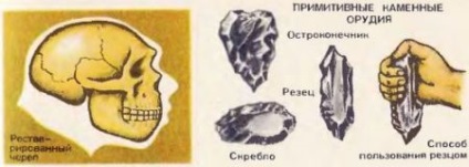 A hajtóerők (faktorok) anthropogenes 1 (ábra visszaállt koponya) A hajtóerők (faktorok) anthropogenes 1