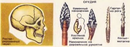 A hajtóerők (faktorok) anthropogenes 1 (ábra visszaállt koponya) A hajtóerők (faktorok) anthropogenes 1