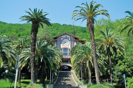 Gagra, Abházia, mit látogasson turista (vélemény) Gagra, Abházia, mit látogasson turisztikai