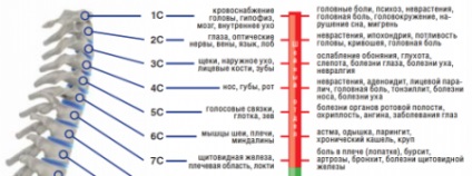 Porckorongsérv nyaki gerinc tünetek és hatások - az életem (tünetek) Porckorongsérv nyaki gerinc tünetek és hatások - az életem