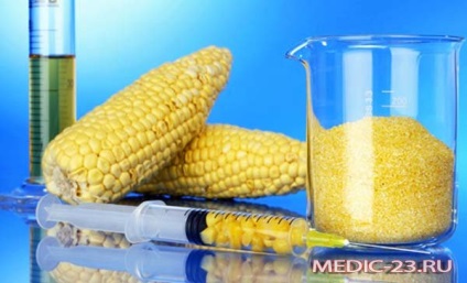 Hogyan GMO hatása van az emberi egészségre, hogy az ilyen GMO, ami a betegség, hogyan védheti meg magát