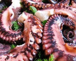 Hogyan kell főzni a polip (Octopus) Hogyan kell főzni a polip