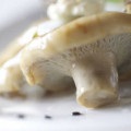 Hogyan pácolt gombát a legjobb receptek, gomba helyszínen