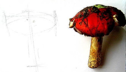 Hogyan kell felhívni a gomba (Amanita rajz) Hogyan kell felhívni a gomba