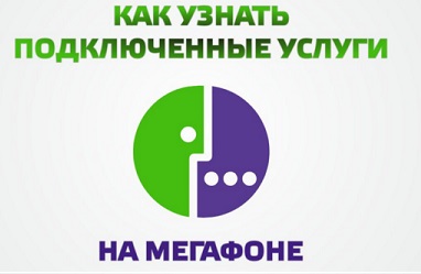 Hogyan lehet csatlakozni az otthoni környezetben a Beeline (légvonalban) Hogyan lehet csatlakozni az otthoni környezetben a Beeline