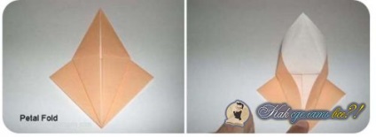 Hogyan készítsünk egy gém papírvezetőbe fotókkal