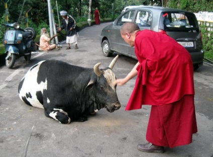 Hogyan válhat egy tibeti szerzetes