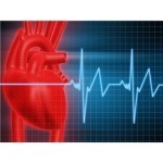 Hogyan lehet csökkenteni a szívfrekvenciát otthon leghatékonyabb módja