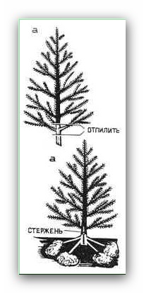 Hogyan kell telepíteni a karácsonyfa, ha nincs kereszt