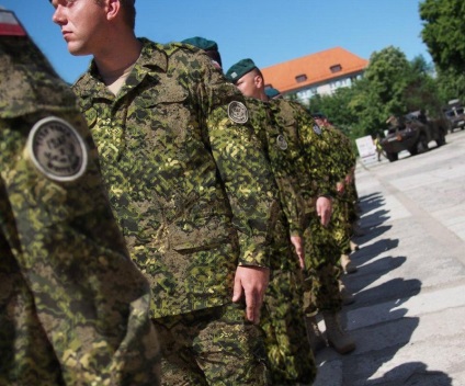 Camouflage színező flektarn (flektarn) Álcázómintázat flektarn