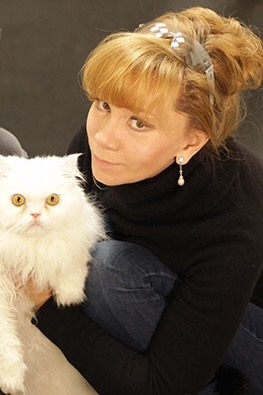Szürkehályog macskák - üzemeltetés és szürkehályog kezelésére állatokban
