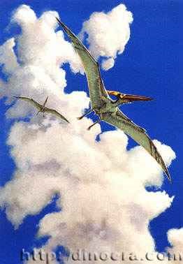 Szárnyas gyík, az enciklopédia az ősi élet (Rhamphorhynchus) Szárnyas gyík, az enciklopédia az ősi élet