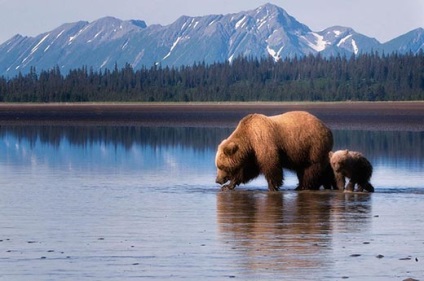 Ki és mikor fedezték fel Alaska () Ki és mikor fedezték fel Alaszkában
