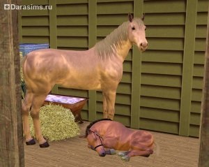 Lovak «a Sims 3 Házi kedvenc”, az univerzum a játék a Sims!