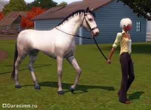 Lovak «a Sims 3 Házi kedvenc”, az univerzum a játék a Sims!