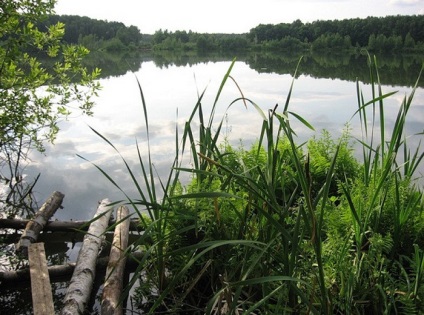 Bear Lake halászati ​​Shchelkovo kerület - vélemények, árak, utazás