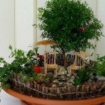 Mini Garden (42 fénykép) funkciók miniatűr kertek pozsgás egy ablakpárkányon vagy a kertben,