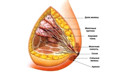 Mell MRI