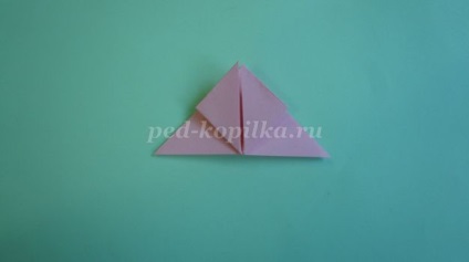 Rovarok a papír meg a kezét a gyermekek 7-11 éves, a szakterületen origami