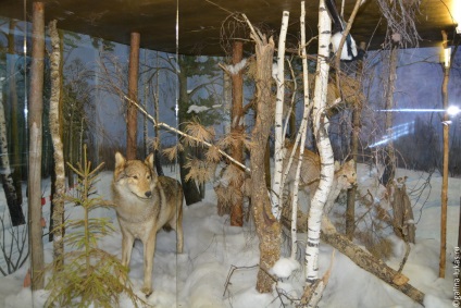 Oka Bioszféra Rezervátum, vagy egy látogatás a bölények és daruk, utazási klub