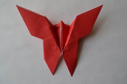 Origami papír - Butterfly