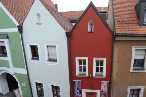 Fan pálma otthoni gondozást, fotó (ventilátor) Fan pálma otthoni gondozást, fotók