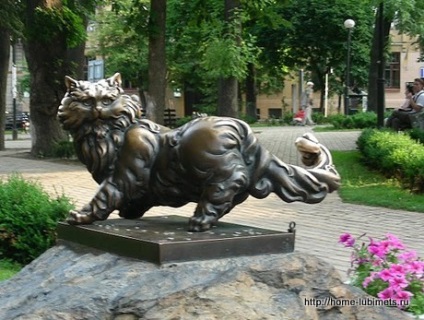 Emlékmű macska Panteleimon Kijev - pet