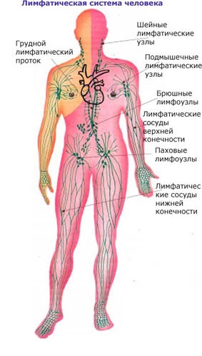 Para-aorta nyirokcsomókban 1