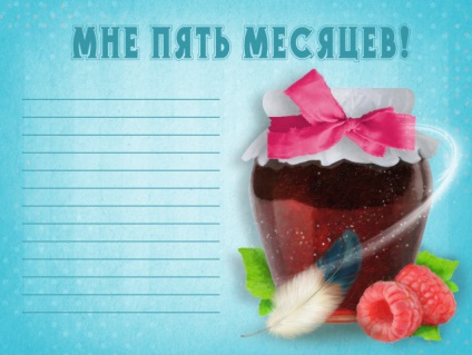 Útlevél az újszülött, vagy a design az első album a baba (a baba album) Útlevél az újszülött, vagy a design az első album baba