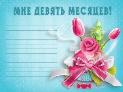 Útlevél az újszülött, vagy a design az első album baba (album az első évben) Útlevél az újszülött, vagy a design az első album baba