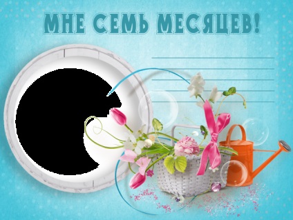 Útlevél az újszülött, vagy a design az első album baba (baba) Útlevél az újszülött, vagy a design az első album baba