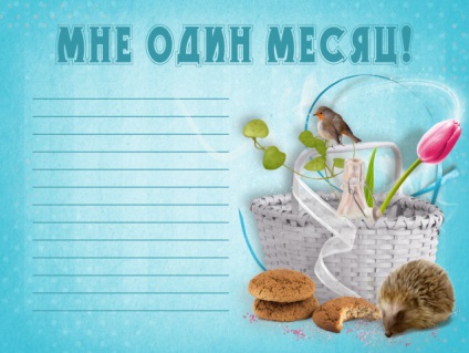 Útlevél az újszülött, vagy a design az első album a baba (az album egy fiú) Útlevél az újszülött, vagy a design az első album baba
