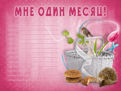 Útlevél az újszülött, vagy a design az első album a baba (a baba album) Útlevél az újszülött, vagy a design az első album baba