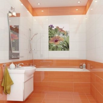 Műanyag panelek a fürdőszobában - 55 fotó panelek műanyag ötletek