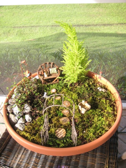 Gyakorlati ötletek miniatűr kertek (miniatűr kert) Gyakorlati ötletek miniatűr kertek