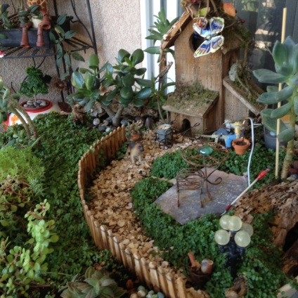 Gyakorlati ötletek miniatűr kertek (miniatűr kert) Gyakorlati ötletek miniatűr kertek