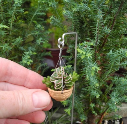 Gyakorlati ötletek miniatűr kertek (miniatűr kert) Gyakorlati ötletek miniatűr kertek