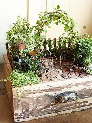 Gyakorlati ötletek miniatűr kertek (kertek) Gyakorlati ötletek miniatűr kertek