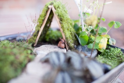 Gyakorlati ötletek miniatűr kertek (kertek) Gyakorlati ötletek miniatűr kertek
